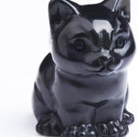 Black Obsidian Cat