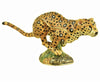 Cheetah Box