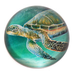 Green Sea Turtle Paperweight