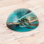 Green Sea Turtle Paperweight