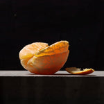 "Peeled Orange" Original Oil Painting by Chris Thomas