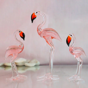 Flamingo Family