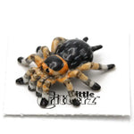 Little Critterz Porcelain Animals