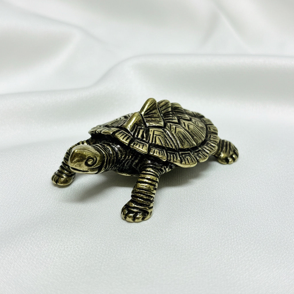 Chinese Turtle