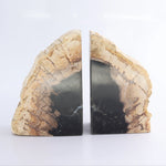 Petrified Wood Bookends