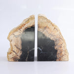 Petrified Wood Bookends