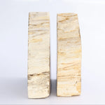 Petrified Wood Bookends
