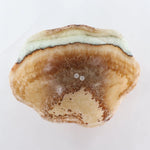 Banded Calcite Bowl 12"