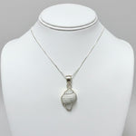 Fossilized Shell Necklace