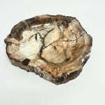 Petrified Wood Bowl
