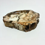 Petrified Wood Bowl