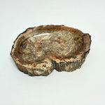 Petrified Wood Bowl