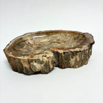 Petrified Wood Bowl