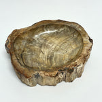 Petrified Wood Bowl