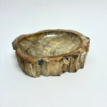 Petrified Wood Bowl