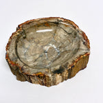 Petrified Wood Bowl