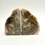 Petrified Wood Bookends