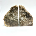 Petrified Wood Bookends