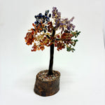 Tree of Life