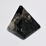 Orthoceras & Ammonite Pyramid