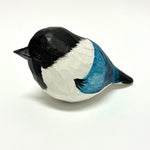 Oriental Magpie