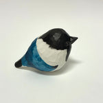 Oriental Magpie