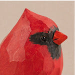Red Cardinal