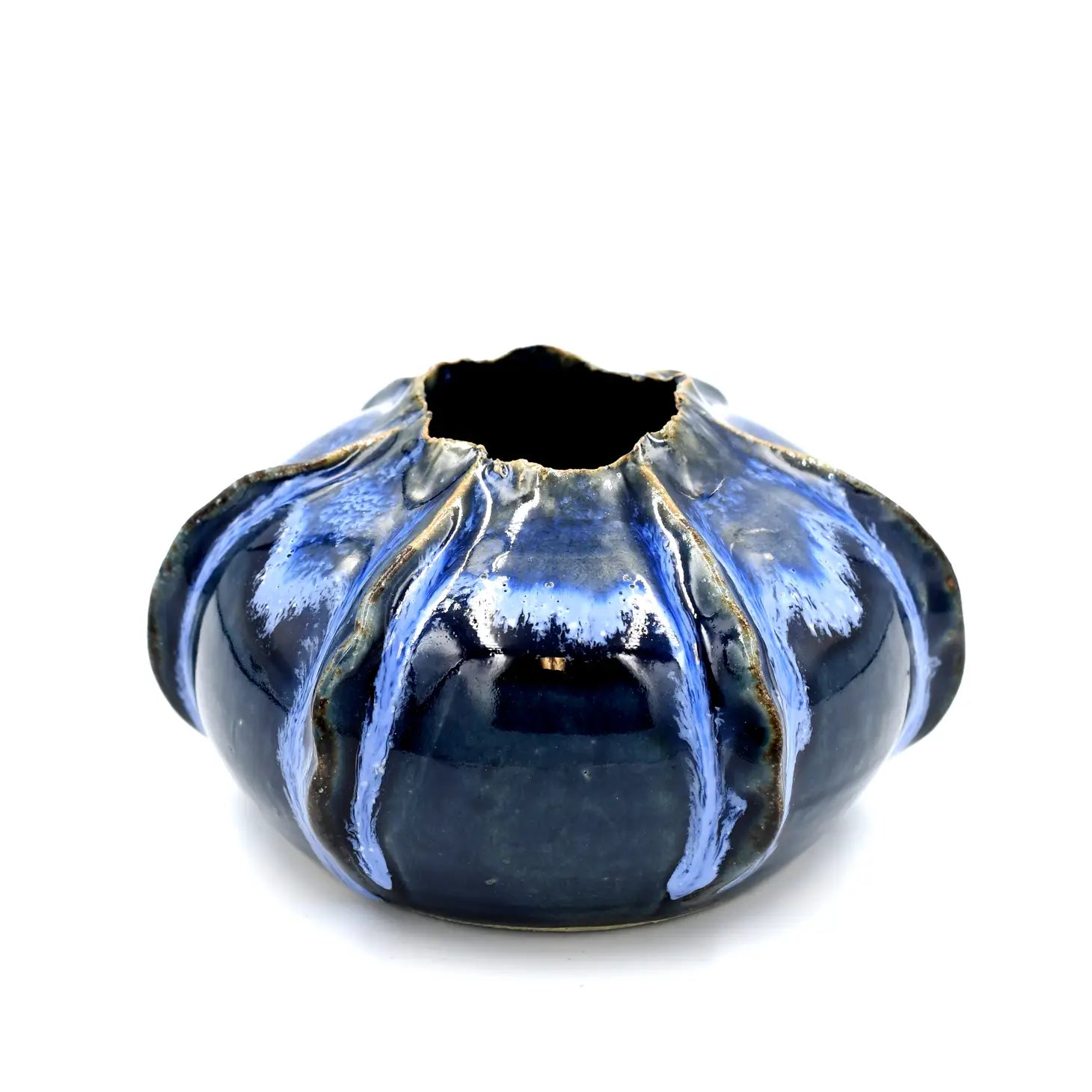 Blue Barnacle Vase