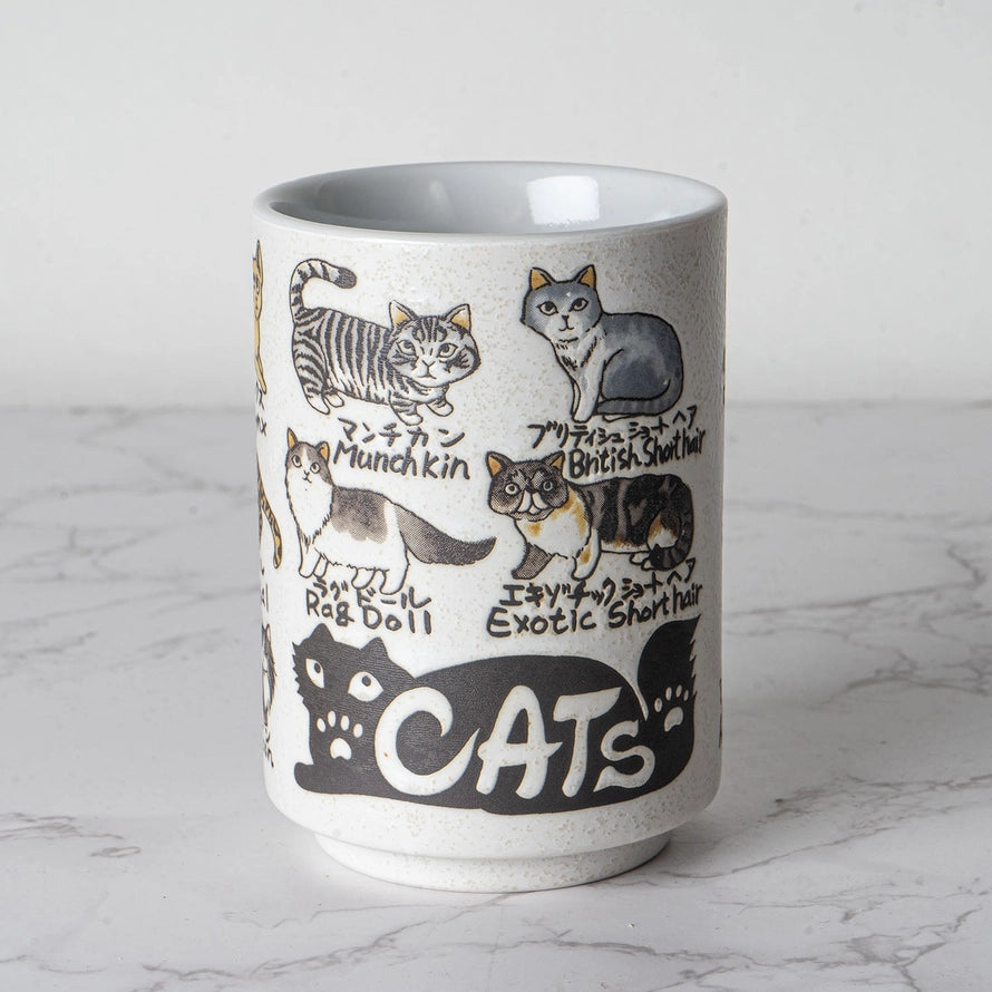 Japanese Cat Breed Tea Cup