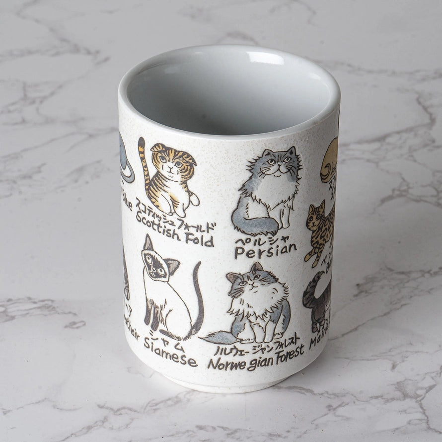 Japanese Cat Breed Tea Cup