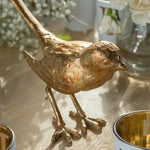 Golden Bird