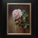 "Wildeve English Rose" Original Oil Painting by Chris Thomas