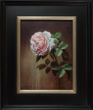 "Wildeve English Rose" Original Oil Painting by Chris Thomas