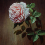 "Wildeve English Rose" Original Oil Painting by Chris Thomas