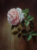 "Wildeve English Rose" Original Oil Painting by Chris Thomas