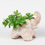 Lucky Elephant Planter
