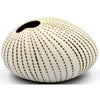 Linear Dot Pebble Vase - Small