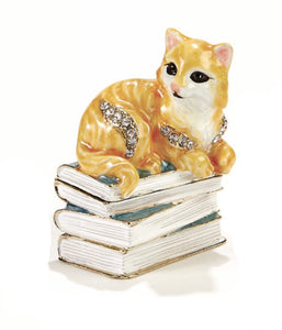 Library Cat Box