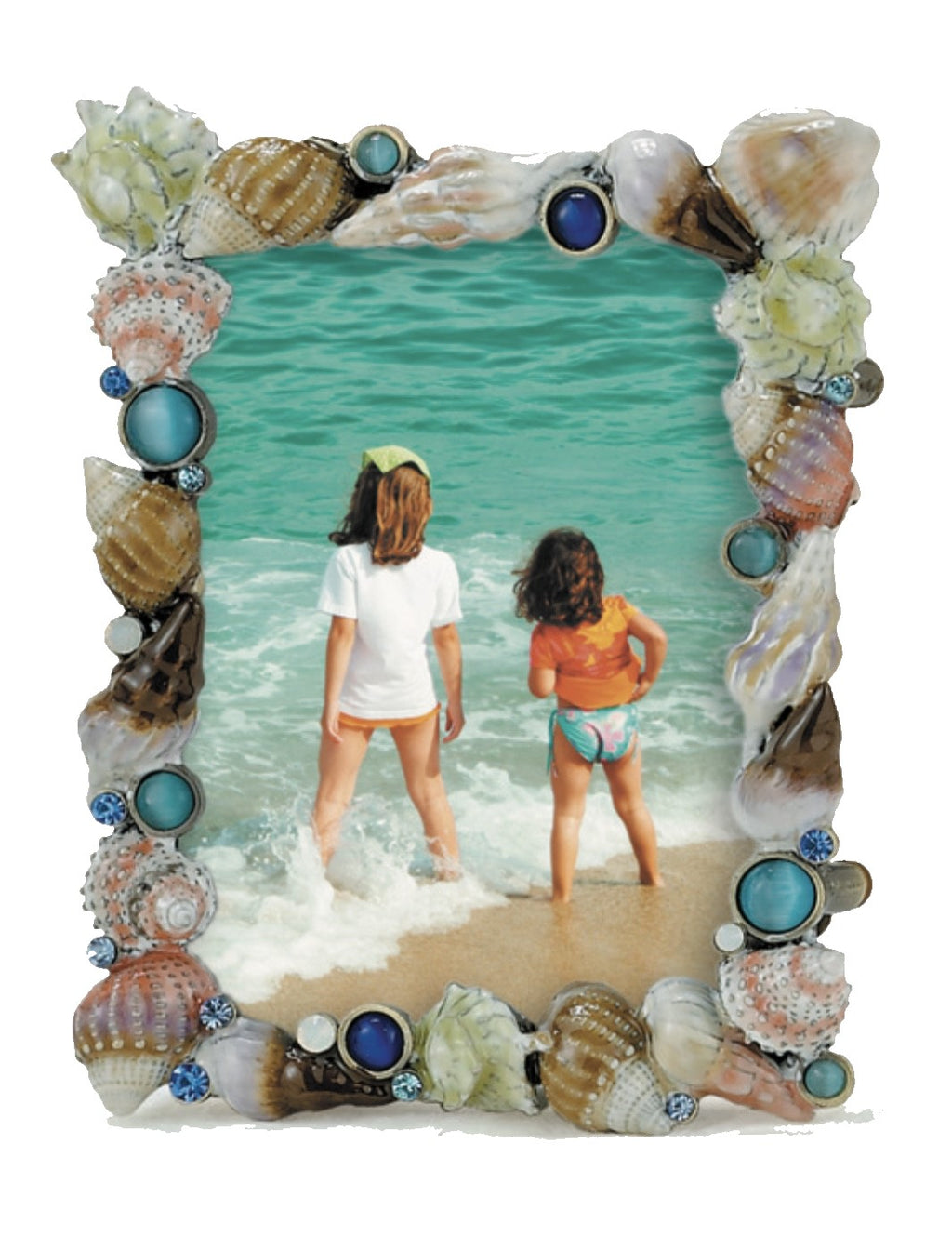 Shell Collection Frame