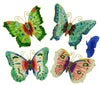 Friendship Butterfly Magnet Assorted Pastel Colors