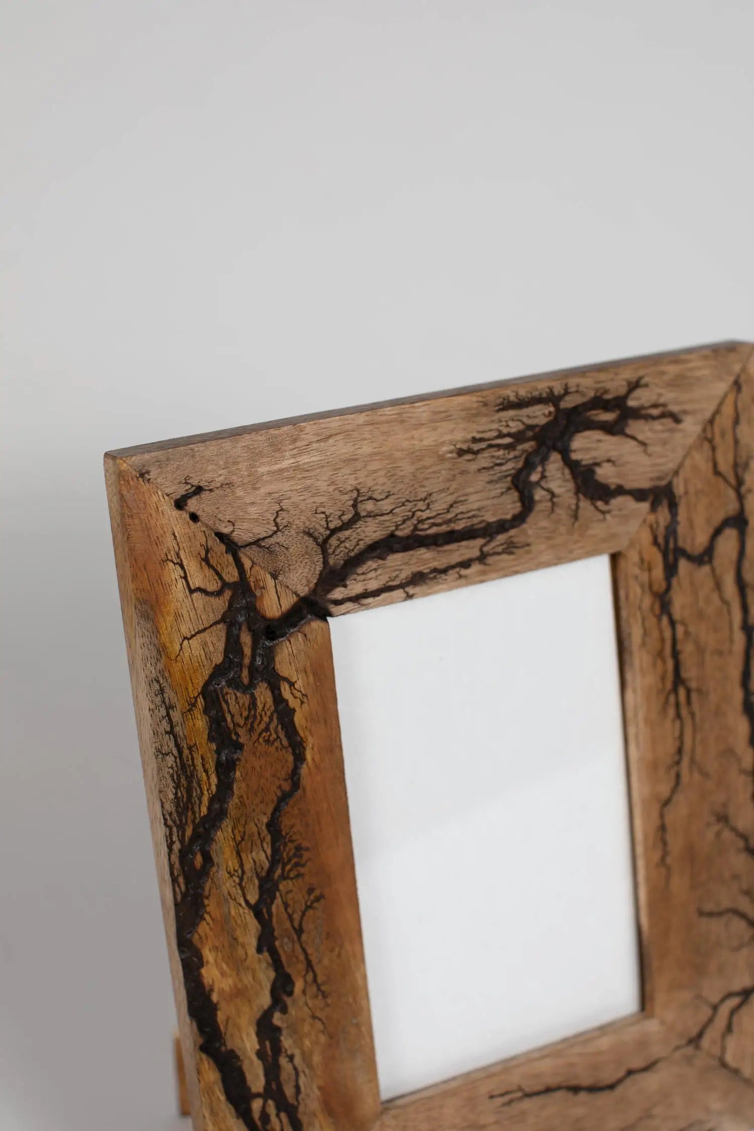 Roots Frame – Nance Galleries