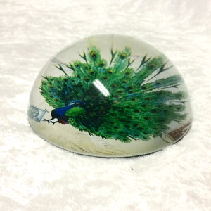 Peacock Paperweight