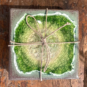 Stoneware Glass Accent Coaster Set of Two
