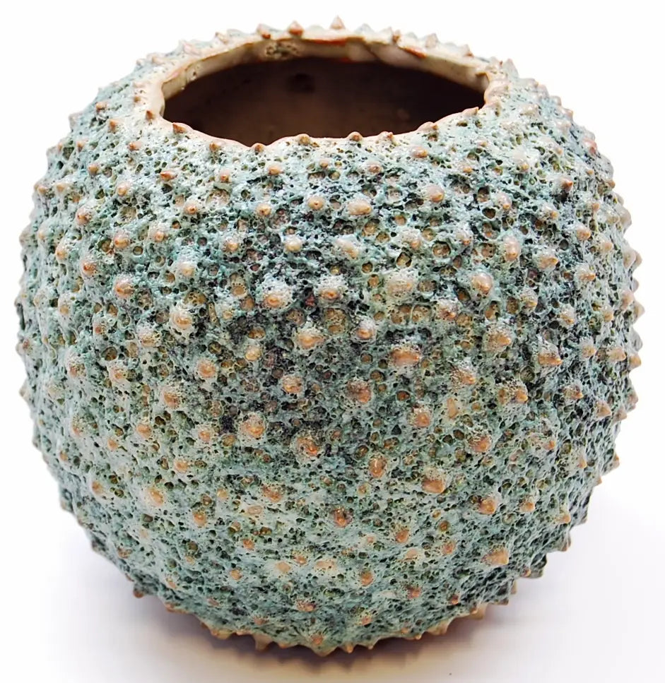 Spiny Form Ocean Vase
