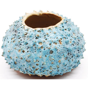 Sea Blue Volcanic Pot